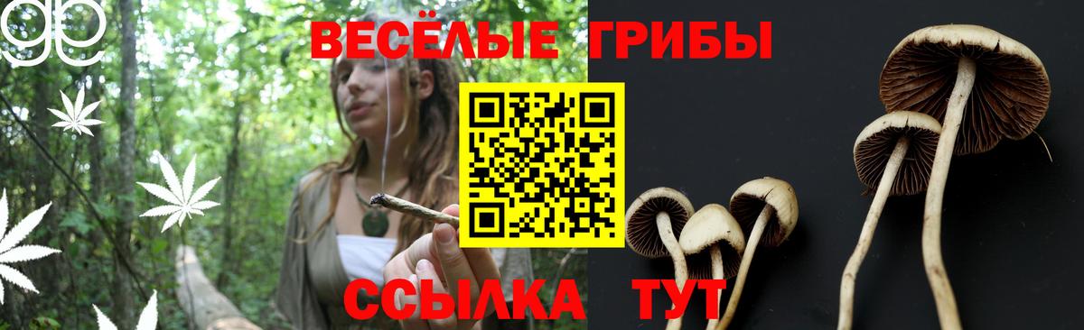Псилоцибиновые грибы GOLDEN TEACHER  Вход с VPN  купить закладку  Кемерово  Галлюциногенные грибы мухоморы 